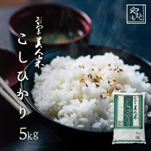 お米 新米 令和5年 岡山県産こしひかり 5kg...の商品画像