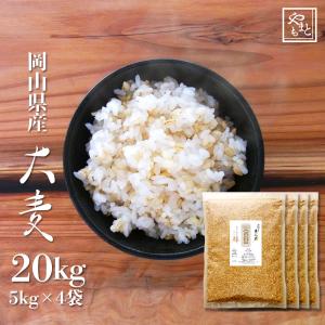 大麦(丸麦) 20kg (5kg×4袋) 雑穀 ...の商品画像