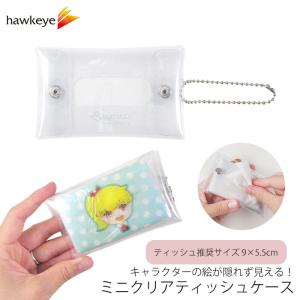 ポケットティッシュケース オーロラ｜透明 アクセサリ キーホルダー
