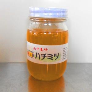 はちみつ・4月の花・500ｇ（千葉県富津市山中産）