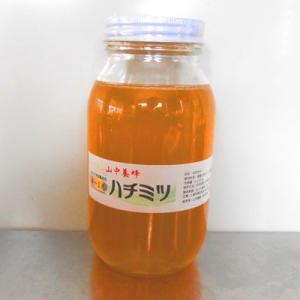 はちみつ・4月の花・ 1100g（千葉県富津市山中産）