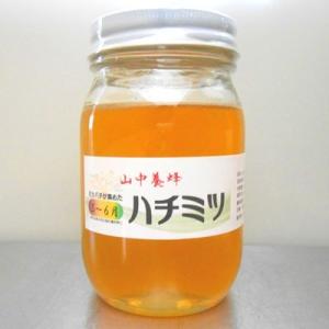 はちみつ・5〜6月・ 500g （千葉県富津市山中産）