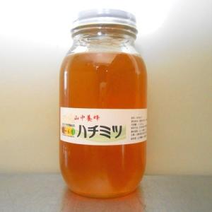 はちみつ・5〜6月・1100g（千葉県富津市山中産）