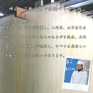 送料無料 おためし 三輪素麺 誉(ほまれ)5束...の詳細画像3