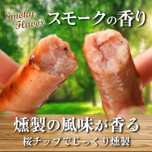 元氣ウィンナー30g×3本(k6-016)の詳細画像3