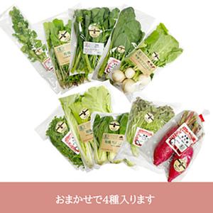 野菜3種セット（新たまねぎ・にんじん・新じゃがいも）各約5kg 合計