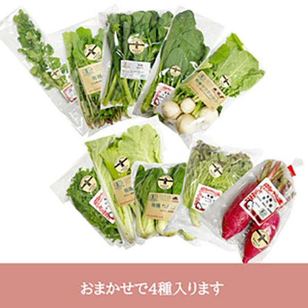 有機野菜おまかせ4種（5月上旬頃〜12月中旬頃まで発送可能） 明野九州屋ファーム