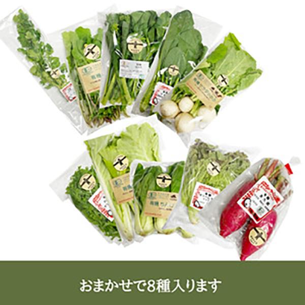 有機野菜おまかせ8種（5月上旬頃〜12月中旬頃まで発送可能） 明野九州屋ファーム