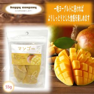 ドライフルーツ マンゴー 55g 1袋 スタンドパック 小袋入 携帯用 フルーツ セミドライ ダイエットフード 持ち運び ハッピーカンパニー 小分け 朝ごはん おやつ