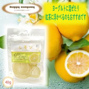 ドライフルーツ レモン 40g 1袋 スタンドパック 小袋入 携帯用 フルーツ セミドライ ダイエットフード 持ち運び ハッピーカンパニー 小分け 朝ごはん おやつ