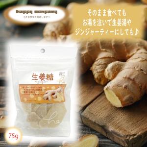 ドライフルーツ 生姜糖 75g 1袋 スタンドパック 小袋入 携帯用 フルーツ セミドライ ダイエットフード 持ち運び ハッピーカンパニー 小分け 朝ごはん おやつ
