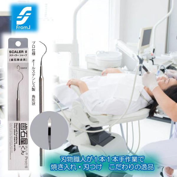 スケーラーシャープ 歯の清掃具 歯の清掃具 プロ仕様スケーラー シリコンゴム ステイン除去 研磨剤 ...