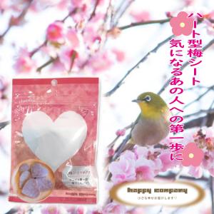 和歌山県みなべ町産 南高梅 完全無農薬10キロ ふしむら農園の 無添加南高梅 紀州健康梅たる梅 10キロ : 和歌山みなべ