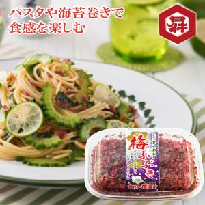 梅ふぶき 梅ふりかけ 長谷川醸造 ご当地調味料 山梨 南アルプス お取り寄せ おにぎり お弁当 天ぷら 梅調味料 ふりかけ