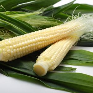 旬到来 皮付ヤングコーン スイートコーン きみひめ 30本 1箱 旬果市場 ベビーコーン 幻の野菜 生ベビーコーン BBQ ソロキャン お取り寄せ 山梨 採れたて