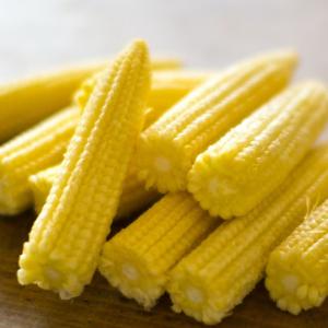 富士の国やまなし特産品モール きみひめ 甲府の証 とうもろこし スイートコーン Yahoo ショッピング