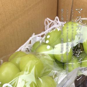 ご予約商品山梨の美味しいぶどうマスカサーティー...の詳細画像1