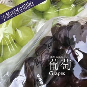 ご予約商品山梨の美味しいぶどうマスカットノワー...の詳細画像2