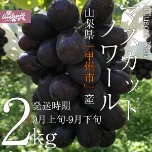 ご予約商品山梨の美味しいぶどう マスカットノワール 2kg（4〜6房)　(農家産直)(ギフト)(御中元)(葡萄)(山梨県)(フルーツ)｜audrey