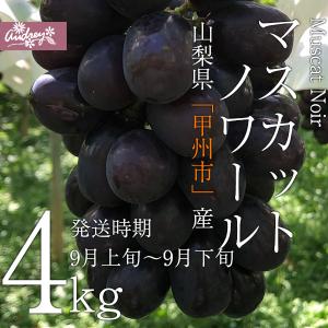 ご予約商品山梨の美味しいぶどう マスカットノワール 4kg（7〜12房)　(農家産直)(ギフト)(御中元)(葡萄)(山梨県)(フルーツ)