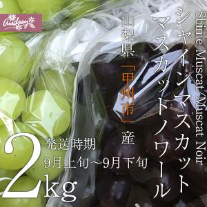 ご予約商品山梨の美味しいぶどう シャインマスカット・マスカットノワール 2kg（3〜6房)　(農家産直)(ギフト)(御中元)(葡萄)(山梨県)(フルーツ)