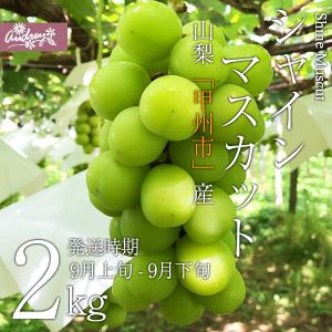 ご予約商品山梨の美味しいぶどう シャインマスカット 4kg（6〜12房