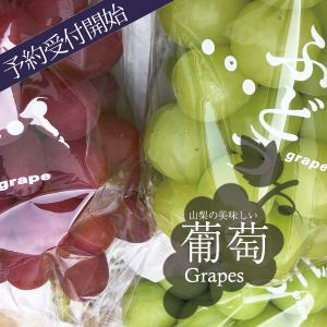 ご予約商品山梨の美味しいぶどう シャインマスカ...の詳細画像3