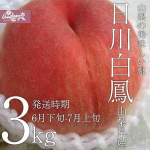 ご予約商品山梨の美味しい桃　日川白鳳3kg9-15個入り　(農家産直)(ギフト)(御中元)(桃)(山梨県)(フルーツ)