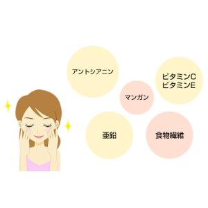 プレミアム ブルーベリーバター 200g 希少...の詳細画像5