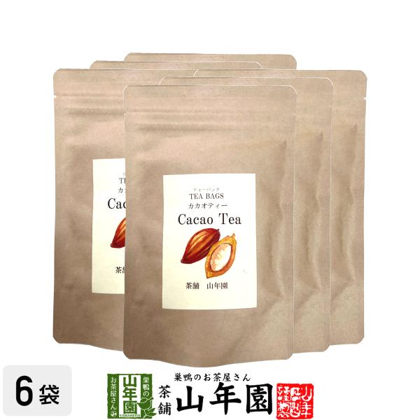 お茶 健康茶 メキシコ産 カカオティー 30g（2g×15包）×6袋セット