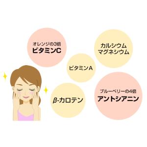 健康食品 国産100% 無添加 カシスパウダー...の詳細画像4