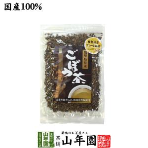 健康茶 ごぼう茶 国産 70g 宮崎県産 食べられるごぼう茶 送料無料