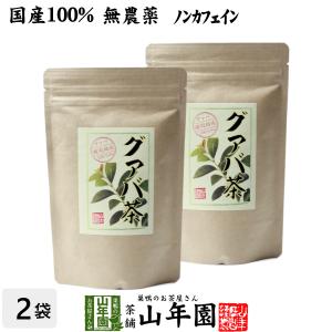 健康茶 国産100% グァバ茶 3g×16パック×2袋セット ティーパック ノンカフェイン 鹿児島県産 無農薬 送料無料｜yamaneen