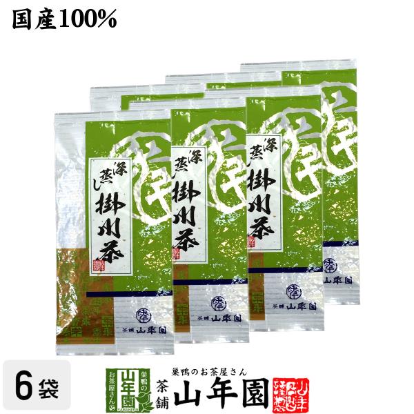 お茶 日本茶 煎茶 掛川深蒸し茶100g×6袋セット 掛川茶 送料無料