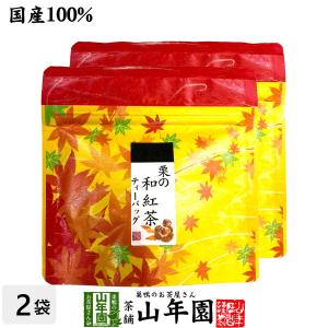 お茶 日本茶 紅茶 国産100% 栗の和紅茶 ティーパック 2g×5包×2袋セット ティーバッグ 送料無料｜yamaneen