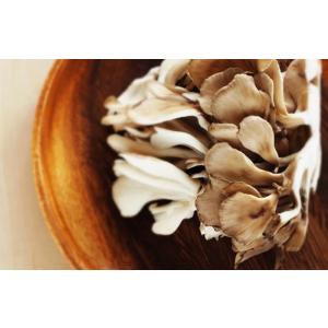 健康食品 国産100% まいたけ粉末 70g×...の詳細画像4