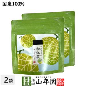 国産紅茶 マスクメロンの和紅茶 2g×5パック×2袋セット｜yamaneen