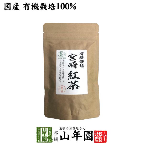 お茶 日本茶 紅茶 国産 100% 宮崎紅茶 50g リーフ 送料無料