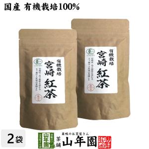 お茶 日本茶 紅茶 国産 100% 宮崎紅茶 50g×2袋セット リーフ 送料無料｜yamaneen