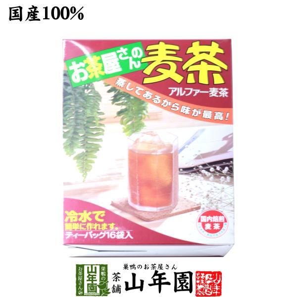 健康茶 むぎ茶 10g×16袋 国産 麦茶 ムギ茶 ミネラル やさしい おいしい 送料無料