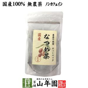 健康茶 国産 なつめ茶 ティーバッグ 24g（2g×12P） 送料無料｜yamaneen