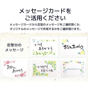 ギフト 高級お茶漬け(16種類) 金目鯛 まぐ...の詳細画像5