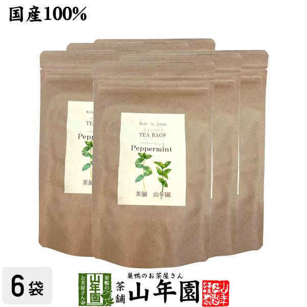 健康茶 国産100% ペパーミントティー ハーブティー 2g×15パック×6袋セット 送料無料