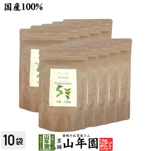 Camelicious キャメルミルクパウダー20g×24袋 ラクダのミルク ラクダの