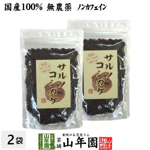 健康茶 国産100% サルノコシカケ茶 70g×2袋セット 宮崎県産 ノンカフェイン 無農薬 送料無料