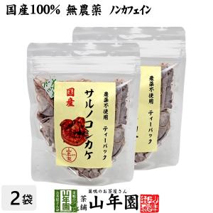 健康茶 国産100% サルノコシカケ茶 ティーパック 1.5g×20パック×2袋セット 宮崎県産 鹿児島県産 無農薬 ノンカフェイン 送料無料｜巣鴨のお茶屋さん山年園