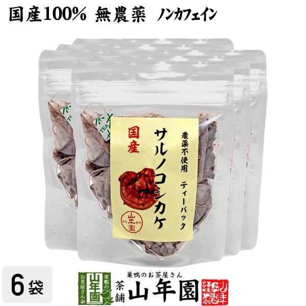 健康茶 国産100% サルノコシカケ茶 ティーパック 1.5g×20パック×6袋セット 宮崎県産 鹿...