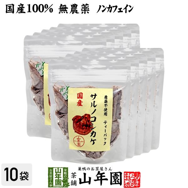 健康茶 国産100% サルノコシカケ茶 ティーパック 1.5g×20パック×10袋セット 宮崎県産　...