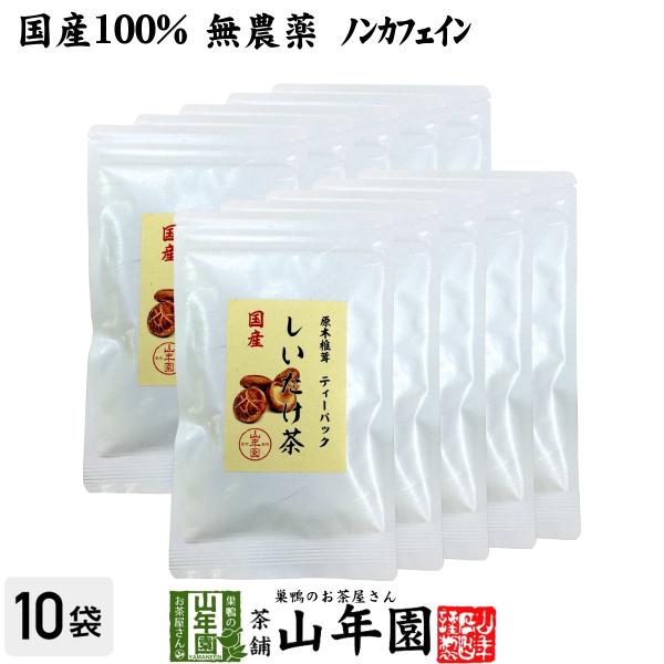 健康茶 国産100% しいたけ茶 ティーパック 無農薬 3g×10パック×10袋セット 静岡県産 送...