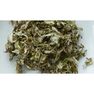 健康茶 国産100% よもぎ茶 ティーパック ...の詳細画像3